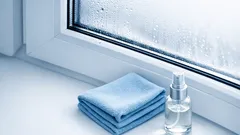 Pleśń na oknach: jak usunąć czarne kropki z uszczelek bez agresywnej chemii